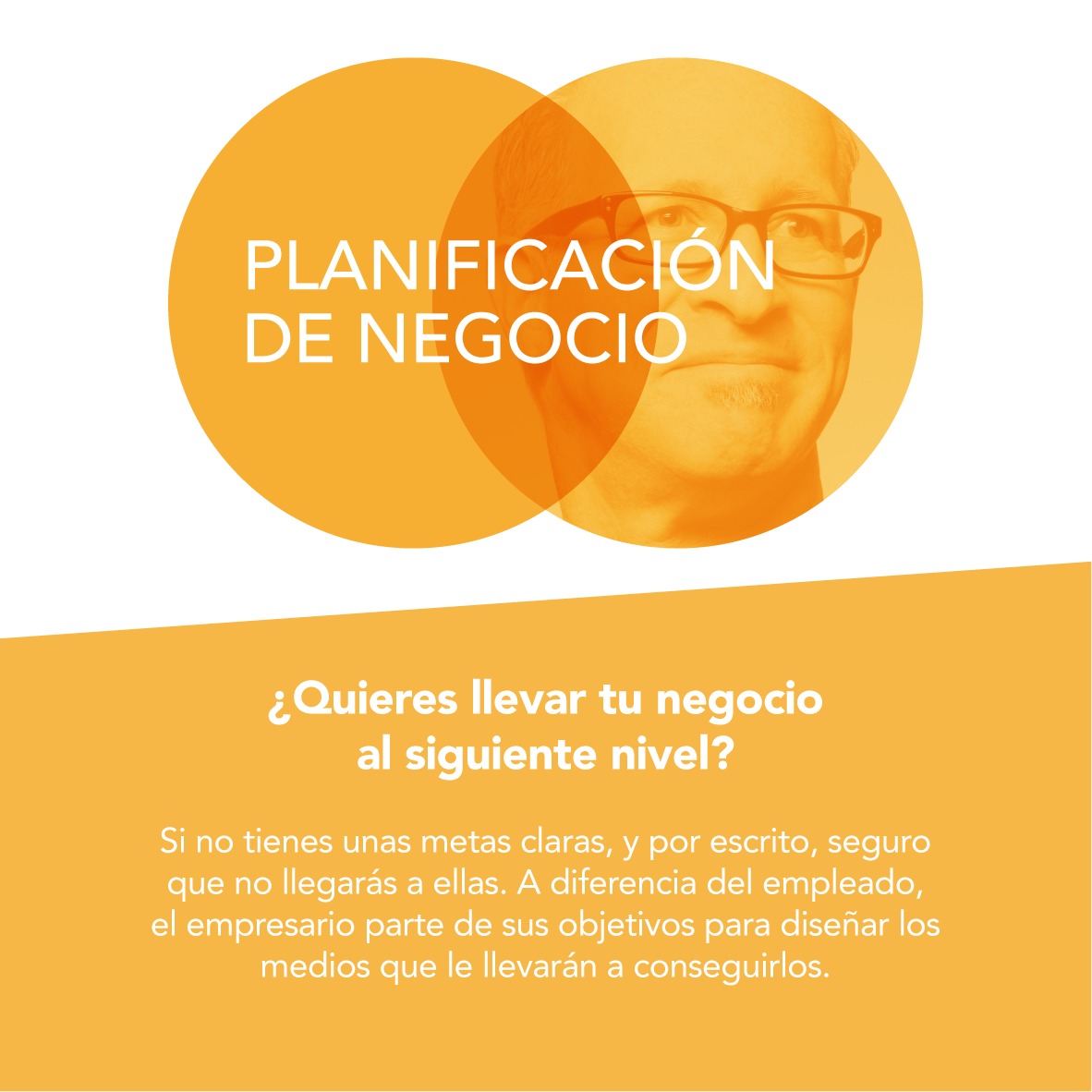 Modulo A Planificacion de Negocio